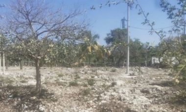 TERRENO EN VENTA EN TETIZ, YUC. MÉX., A PIE DE CARRETERA IDEAL PARA DESARROLLO