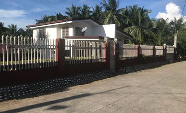 HOUSE AND LOT FOR SALE IN AMLAN ID 14771