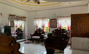 HOUSE AND LOT FOR SALE IN AMLAN ID 14771