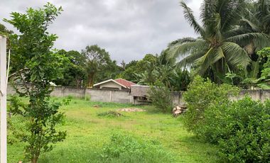 HOUSE AND LOT FOR SALE IN AMLAN ID 14771
