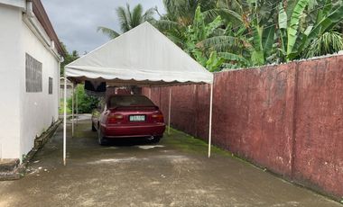 HOUSE AND LOT FOR SALE IN AMLAN ID 14771