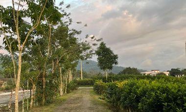 RENTO quinta con casa grande