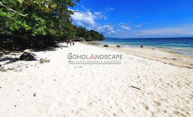 Beach Lot for Sale located in Biking, Dauis, Panglao Island, Bohol