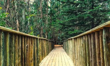 EXCELENTE CASA U HOTEL BOUTIQUE EN PUERTECILLO, NAVIDAD, 400/5.618 M2, 10 HABITACIONES (7 EN SUITE), 2 PISCINAS (1 TEMPERADA), PRECIOSO ENTORNO