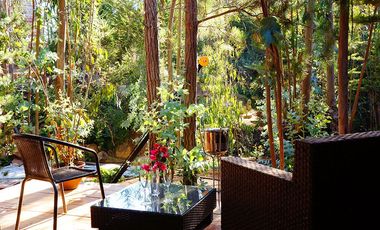 EXCELENTE CASA U HOTEL BOUTIQUE EN PUERTECILLO, NAVIDAD, 400/5.618 M2, 10 HABITACIONES (7 EN SUITE), 2 PISCINAS (1 TEMPERADA), PRECIOSO ENTORNO