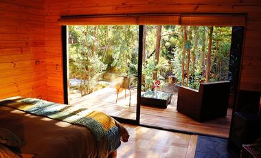 EXCELENTE CASA U HOTEL BOUTIQUE EN PUERTECILLO, NAVIDAD, 400/5.618 M2, 10 HABITACIONES (7 EN SUITE), 2 PISCINAS (1 TEMPERADA), PRECIOSO ENTORNO