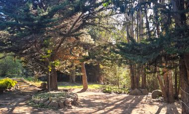 EXCELENTE CASA U HOTEL BOUTIQUE EN PUERTECILLO, NAVIDAD, 400/5.618 M2, 10 HABITACIONES (7 EN SUITE), 2 PISCINAS (1 TEMPERADA), PRECIOSO ENTORNO