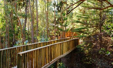 EXCELENTE CASA U HOTEL BOUTIQUE EN PUERTECILLO, NAVIDAD, 400/5.618 M2, 10 HABITACIONES (7 EN SUITE), 2 PISCINAS (1 TEMPERADA), PRECIOSO ENTORNO