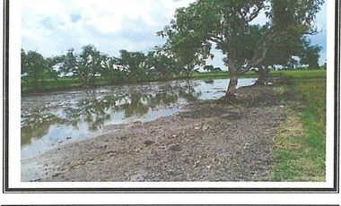 Tanah di Jl Raya Kedung Sumber balongpanggang Gresik