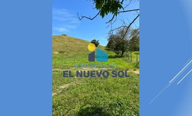 ¡¡SUPER GANGA SE VENDE FINCA CAMPESTRE MUY BIEN UBICADA!!SECTOR FUENTE DE ORO (META)