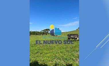 ¡¡SUPER GANGA SE VENDE FINCA CAMPESTRE MUY BIEN UBICADA!!SECTOR FUENTE DE ORO (META)