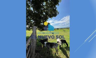 ¡¡SUPER GANGA SE VENDE FINCA CAMPESTRE MUY BIEN UBICADA!!SECTOR FUENTE DE ORO (META)
