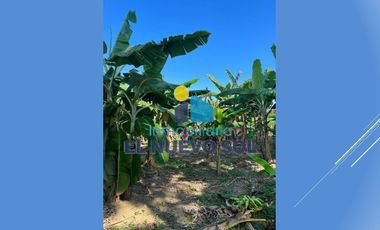 ¡¡SUPER GANGA SE VENDE FINCA CAMPESTRE MUY BIEN UBICADA!!SECTOR FUENTE DE ORO (META)