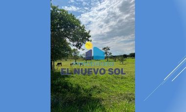 ¡¡SUPER GANGA SE VENDE FINCA CAMPESTRE MUY BIEN UBICADA!!SECTOR FUENTE DE ORO (META)