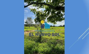 ¡¡SUPER GANGA SE VENDE FINCA CAMPESTRE MUY BIEN UBICADA!!SECTOR FUENTE DE ORO (META)