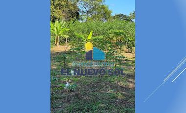 ¡¡SUPER GANGA SE VENDE FINCA CAMPESTRE MUY BIEN UBICADA!!SECTOR FUENTE DE ORO (META)