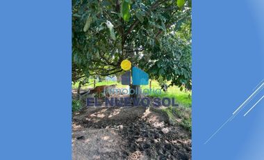 ¡¡SUPER GANGA SE VENDE FINCA CAMPESTRE MUY BIEN UBICADA!!SECTOR FUENTE DE ORO (META)