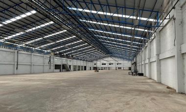 #Selling and renting factories / warehouses in Bang Bua Thong Sai Noi area, land size 15-0-41.1 rai :