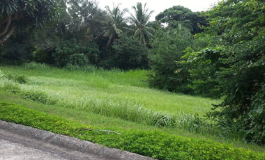 1,260 sqm Lot Leisure Farm for Sale in  Brgy. Masalisi  Lemery Batangas