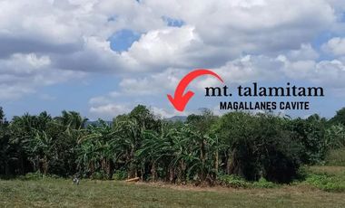 Affordable Pre-selling 996 sqm Farm Lot for sale in Magallanes Cavite