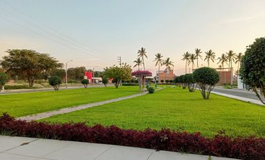 Lote 28 Mz C15 En Venta 120 M2 (8X15) Urb Las Palmeras Etapa 1 A Solo 83 Mil Soles