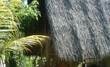 Native Resort for Sale in Danao, Panglao Island, Bohol
