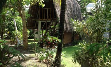 Native Resort for Sale in Danao, Panglao Island, Bohol