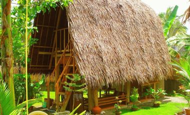 Native Resort for Sale in Danao, Panglao Island, Bohol