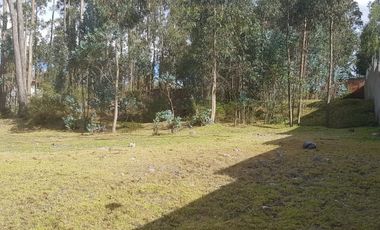 Vendo terreno en La Merced, sector La Cocha