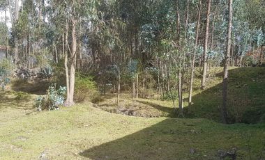 Vendo terreno en La Merced, sector La Cocha