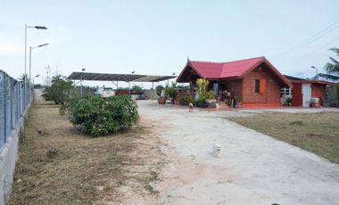 ขาย ที่ดิน 273 ตร.วา พร้อมบ้านไม้สักทรงไทย 1 หลัง และ ห้องเช่า 5 ห้อง ชะอำ เพชรบุรี ห่าง ถ. เพชรเกษม เพียง 1.2 กม.