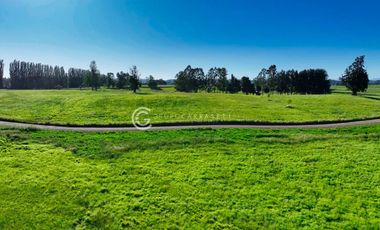 PARCELAS A 4 KM DE OSORNO - ALTOS DE CAIPULLI