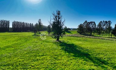 PARCELAS A 4 KM DE OSORNO - ALTOS DE CAIPULLI