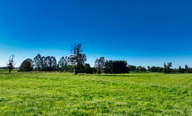 PARCELAS A 4 KM DE OSORNO - ALTOS DE CAIPULLI