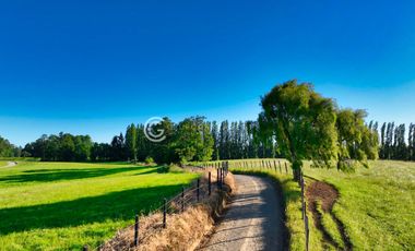 PARCELAS A 4 KM DE OSORNO - ALTOS DE CAIPULLI