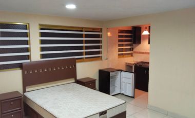 LOFTS EN RENTA SAN PEDRO TOTOLTEPEC TOLUCA AEROPIERTO INTERNACIONAL