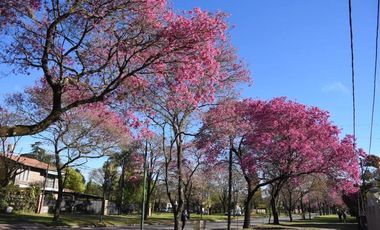 BARRIO CERRADO CARLOS PELLEGRINI-FISHERTON-ROSARIO
