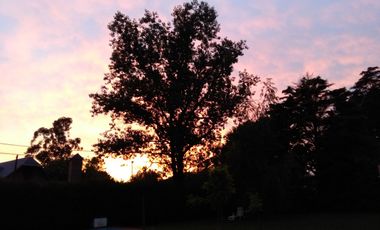 BARRIO CERRADO CARLOS PELLEGRINI-FISHERTON-ROSARIO