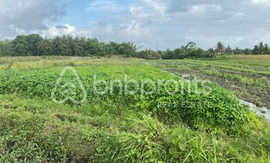 Seaside Serenity Beckons: Premier Beachfront Leasehold Land in Kedungu – Craft Your Balinese Retreat!