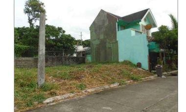 Vacant Lot for Sale in Madison South Village Calamba Laguna