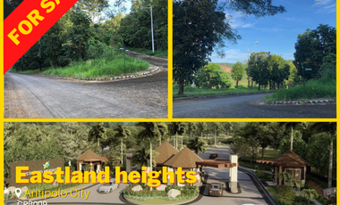 Lot with amazing view in Eastland Heights Sun Valley Antipolo