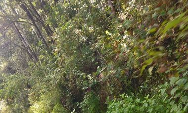 Hermoso Terreno en Atotonilco el Grande $70 el m2 zona boscosa