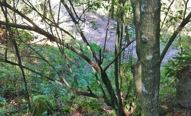 Hermoso Terreno en Atotonilco el Grande $70 el m2 zona boscosa