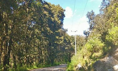 Hermoso Terreno en Atotonilco el Grande $70 el m2 zona boscosa