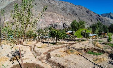 Parcela con casa, piscina y dos cabañas. Potencial turístico. Varillar, Valle del Elqui. $280 millones