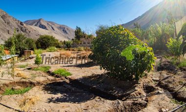 Parcela con casa, piscina y dos cabañas. Potencial turístico. Varillar, Valle del Elqui. $280 millones