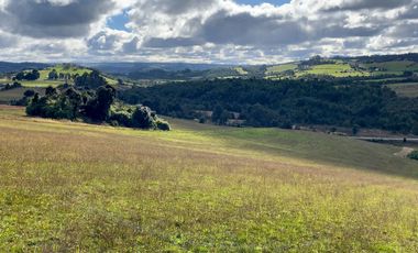 Campo de 87,6 hectáreas colindante a carretera, con río y a 15 min de Los Muermos