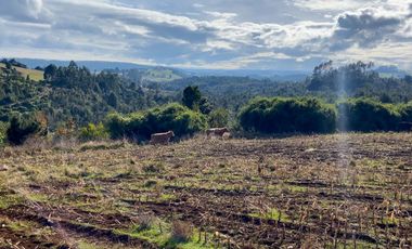 Campo de 87,6 hectáreas colindante a carretera, con río y a 15 min de Los Muermos