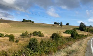 Campo de 87,6 hectáreas colindante a carretera, con río y a 15 min de Los Muermos
