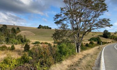Campo de 87,6 hectáreas colindante a carretera, con río y a 15 min de Los Muermos